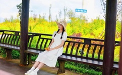 天国的阶梯国语版全集